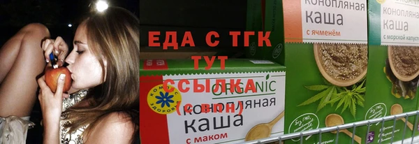 дживик Надым