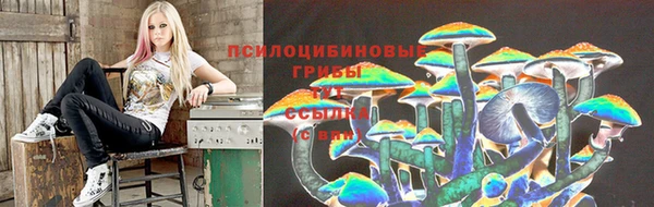 дживик Надым