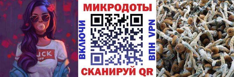 Галлюциногенные грибы мухоморы  hydra ссылка  Волгоград 