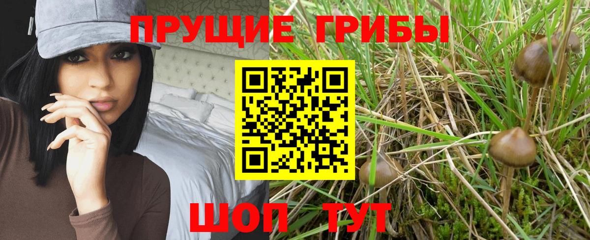 Галлюциногенные грибы мицелий  Волгоград 