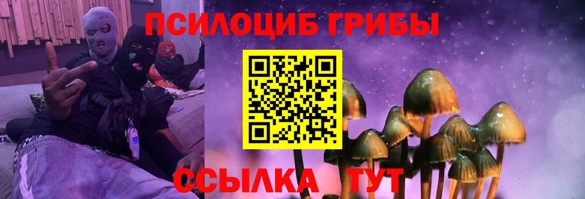 Галлюциногенные грибы прущие грибы Волгоград