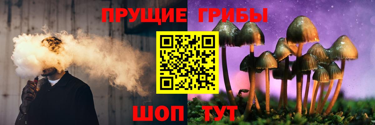 Волгоград  Псилоцибиновые грибы мицелий  Вход с VPN 