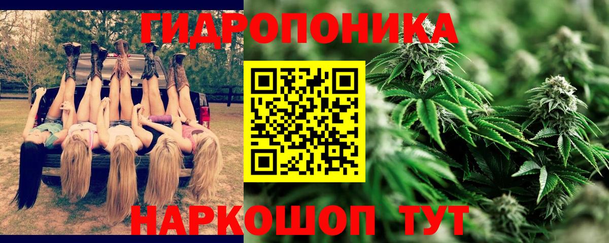 Канабис AK-47  Волгоград  Бошки Шишки Ganja  Бошки Шишки сатива 
